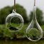 Terrarium Ball Globe Shape Clear Hanging Glass Vase Flower Plants Container Landscape DIY Wedding Home Decoration