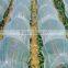non-woven mulch cover wholesale
