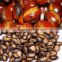 Hazel pine nuts shell removing machine price,macadamia nut tapping machine on sale