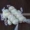 garlic type and fresh garlic in china