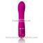 High Quality G Spot Sex Vibrator,Silicone Clitoral Vibrator sex products,Electric Vibrator sex Toys for Women