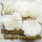 dry shirataki zen pasta healthy Dried shirataki konjac noodle 25g x 10 portions