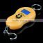 Portable Colorful Low Price Mini Micro Weighing Scale