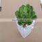 Popular Sale Vivid Look Artificial Cactus Succulents Plant Bonsai for Table Centerpieces