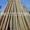 Nature Dry Straight Farming Bamboo Poles for Sales