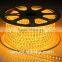 5050 30led/m 220v Flexible LED Strip CE ROHS 2years warranty