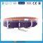 Breakway Jeweled Cat Pet Collar with tags