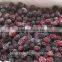 FD Dried fruits Frozen Dried FD Blackberry WHole Piece for sale