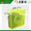 Mildew remover for shoes
