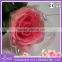 hand touch pink artificial rose flower