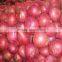 Fresh red & yellow onion