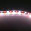 2015 Hot Sale 5050 Plus 3528 Waterproof IP65 Rgbw Led Strip Light