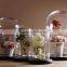 Wholesale decorative mini glass dome, high quality glass bell jar dome