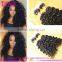 Wholesale Cheap Brazilian Virgin Human Kinky Curly Micro Loop Hair Extensions