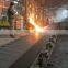 Hebei Forrest Trading Co., Ltd.