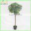 make artificial tree plant