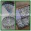 BWG9*2.5'' And 9G*2.5'' Galvanized Roofing Nails for Kenya & Turkey Market