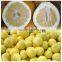 Honey Pomelo Green Citrus Fruits