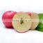 High quality fresh apple fruit fresh Qinguan apple