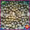 2015 New Organic Yanshan Origin Frozen Shelled Roasted Chestnut