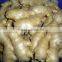 Chinese fresh air dried ginger