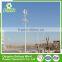 China Exporter All Sizes 300w home use wind tunnel/maglev vertical axis wind turbine generator