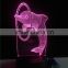 Qualified CE RoHs lamp supplier funny led night lights acrylic light