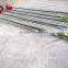 Foam Tipped Mix Carbon Archery Tag Arrows Wholesale For 28lbs Bows