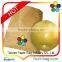 TPBI Taiwan protect cover pear paper bag fruit protection