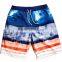 Custom Print Board Sublimation Shorts Polyester Shorts Spandex Stretch