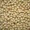 Blanched peanut kernels