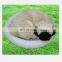 plusg dog sleep on the mat 2015 New plush toys