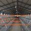 Uruguay Poultry Farm - A Type Battery Broiler Cage System & Meat Chicken Cage with Automatic Manure Clean Machine