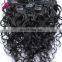 Raw indian curly hair clip in hair extensions for african american