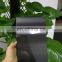 China Black Hairline Color Stainless Steel Sheet