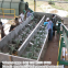 Low price cassava washing machine paddle washing machine in cassava processing line