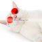 Fashion pet accessories photo travel necessities dog and cat Goggles pet glasses sunglasses