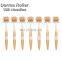 Titanium Microneedle Beauty Roller 192 Derma Rollers Skin Care Micro Needle ZGTS Dermaroller