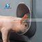 Pig Farm Equipment Stainless Steel Sow Drinking Water Bowl For Hot Sale