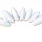 Best price of Cuttlefish bone for Bird feed and Medicine