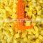 Sinocharm BRC A Approved Cube IQF Mango Frozen Mango