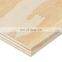 18mm 1220*2440 black film faced plywood shuttering concrete plywood with cheap price