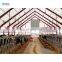 farm building manufacturers outdoor chicken houses for 1000 chicken