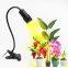 Sinjialight 10W 5 Levels Light gooseneck led grow light full spectrum clip desk lamp for potted plant office family plant