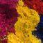 Plastic pigment color matching, customization, and subcontracting services