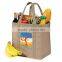ECO-friendly Colorful Fruit Shopping Bag idea product 2015