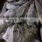 Frozen Sea Frozen W/R Mahi-Mahi And Coryphaena HippurusOur company and factory: TaiZhou YangFan Imp.&Exp.Co.,Ltd specializes
