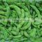 frozen green edamame kernel