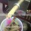 Home use Mini automatic oil press