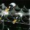 Clear Acrylic Wine Bottle Holder For Six Bottles,Perspex Wine Display,Plexiglass Red Wine Box